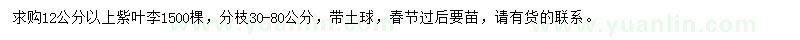 求購12公分以上紫葉李
