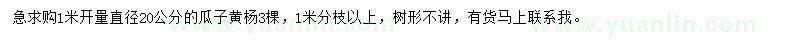 求購直徑20公分瓜子黃楊