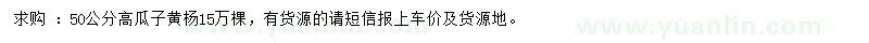 求購高50公分瓜子黃楊