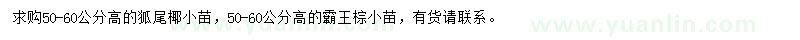 求購高50-60公分狐尾椰小苗、霸王棕小苗