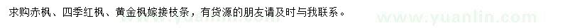 求購赤楓、四季紅楓、黃金楓枝條