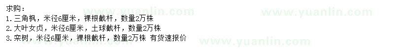 求購三角楓、大葉女貞、欒樹等
