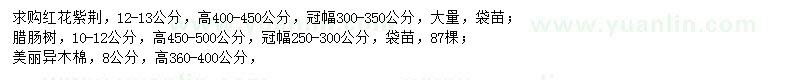 求購(gòu)紅花紫荊、臘腸樹(shù)、美麗異木棉