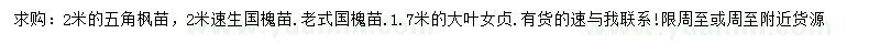 求購(gòu)五角楓、速生國(guó)槐、老式國(guó)槐