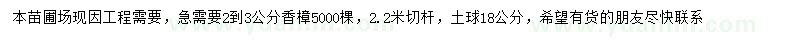 求購2-3公分香樟
