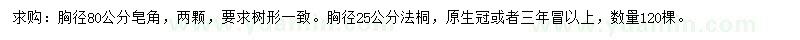 求購(gòu)胸徑80公分皂角、胸徑25公分法桐