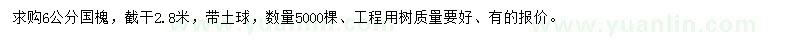 求購6公分國槐