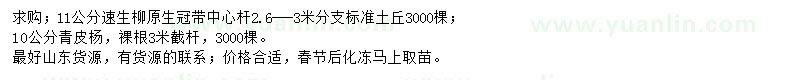 求購(gòu)11公分速生柳、10公分青皮楊