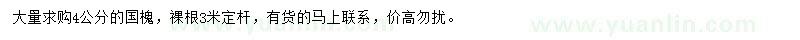 求購(gòu)4公分國(guó)槐