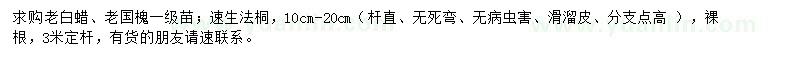求購老白蠟、老國槐、速生法桐