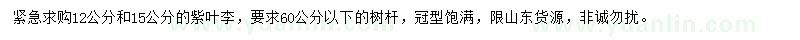 求購12公分、15公分紫葉李