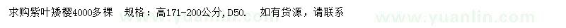 求購(gòu)高171-200公分紫葉矮櫻