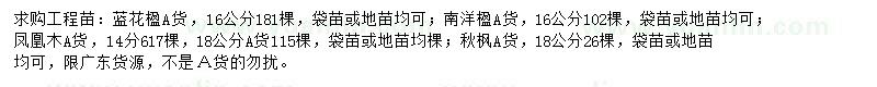求購(gòu)藍(lán)花楹、南洋楹、鳳凰木等