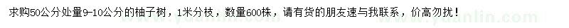 求購50公分處量9-10公分柚子樹