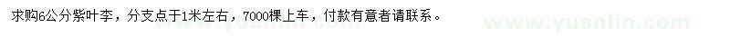 求購6公分紫葉李