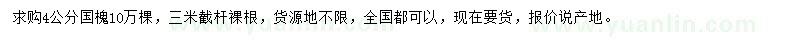 求購4公分國槐