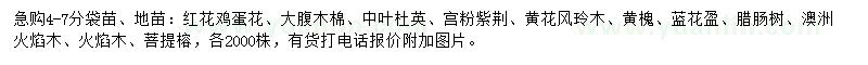 求購紅花雞蛋花、大腹木棉、中葉杜英等