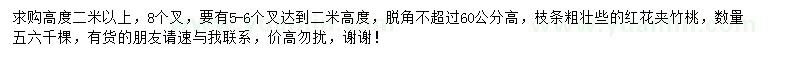 求購高2米以上紅花夾竹桃