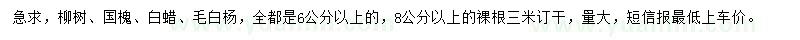 求購(gòu)柳樹、國(guó)槐、白蠟等