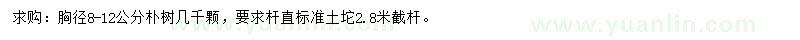 求購(gòu)胸徑8-12公分樸樹(shù)