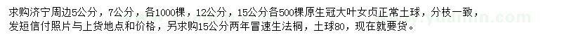求購5、7、12、15公分大葉女貞、15公分速生法桐
