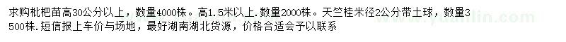 求購枇杷小苗、天竺桂