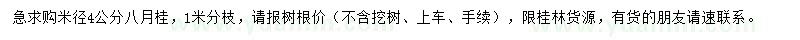 求購(gòu)米徑4公分八月桂