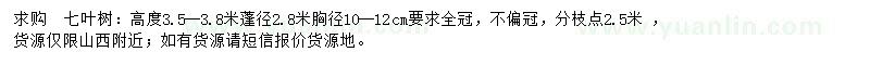 求購(gòu)高3.5-3.8米七葉樹