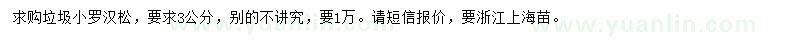 求購3公分小羅漢松