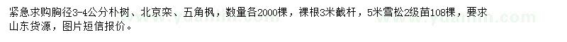 求購樸樹、北京欒、五角楓等