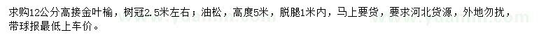 求購(gòu)12公分高接金葉榆