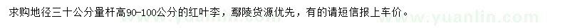 求購高90-100公分紅葉李