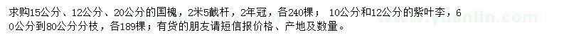求購國槐、紫葉李