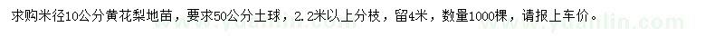 求購米徑10公分黃花梨地苗