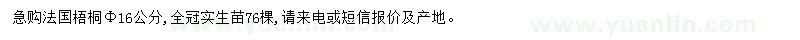 求購米徑16公分法國梧桐