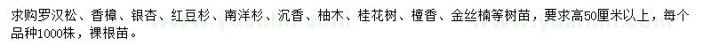 求購羅漢松、香樟、銀杏等