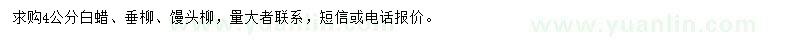 求購白蠟、垂柳、饅頭柳