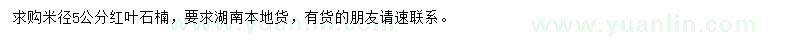 求購(gòu)米徑5公分紅葉石楠