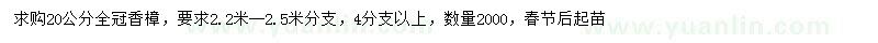 求購20公分全冠香樟