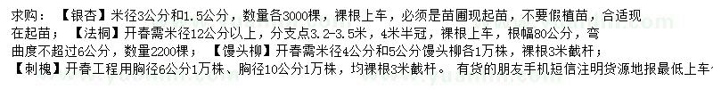 求購銀杏、法桐、饅頭柳等