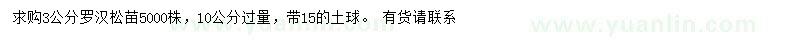 求購(gòu)3公分羅漢松