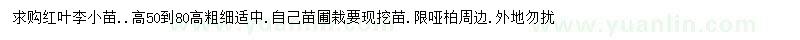 求購高50-80公分紅葉李小苗