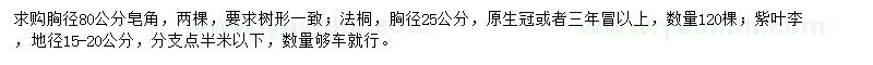 求購皂角、法桐、紫葉李等