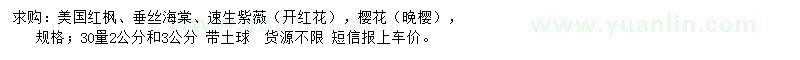 求購美國紅楓、垂絲海棠、速生紫薇