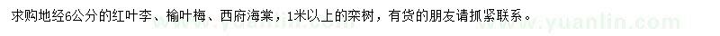 求購紅葉李、榆葉梅、西府海棠等