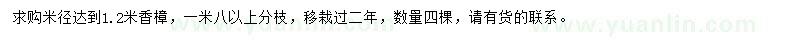 求購米徑達到1.2米香樟