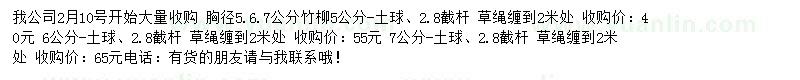 求購(gòu)5-7公分竹柳