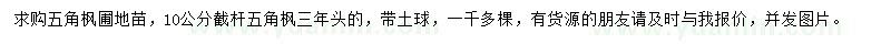 求購10公分五角楓