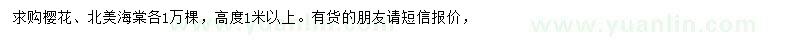 求購(gòu)高度1米以上櫻花、北美海棠