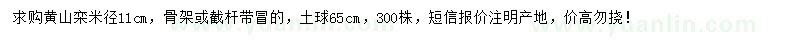 求購米徑11公分欒樹